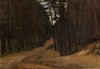 Road in the Forest, sketch (1891)