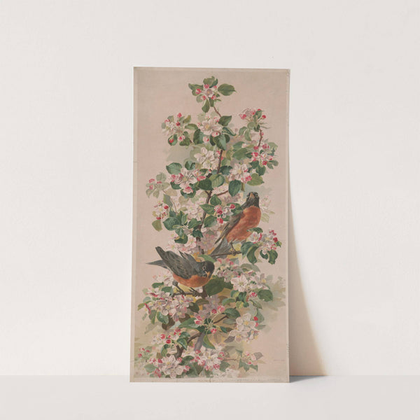Robins (1896) by Sackett &amp; Wilhelms Litho.
