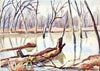 Rock Creek, Winter