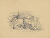 Rocks