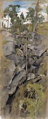 Rocky Forest