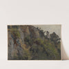 Rocky slope overgrown with plants (1850-1881) by Adolf Dressler