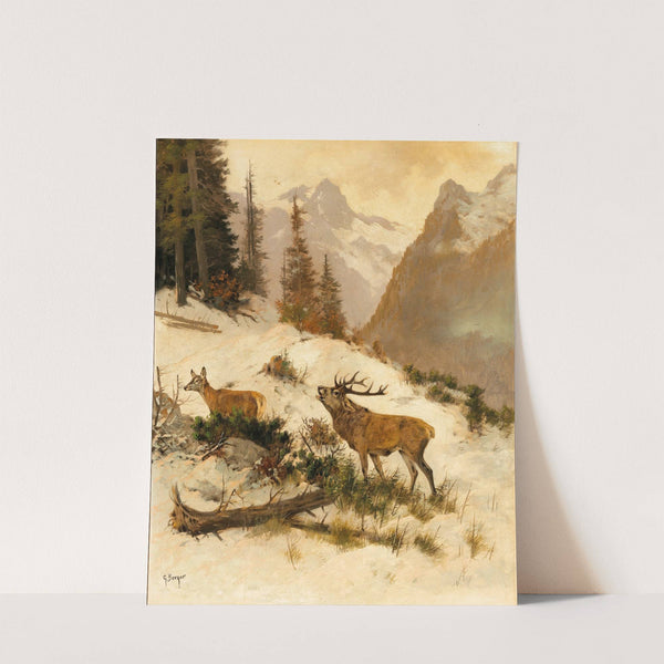 Roe Deer in a Mountain Landscape in Winter by Georg Berger
