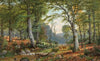 Roe Deer in an Idyllic Wooded Landscape