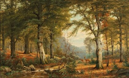 Roe deer in the forest