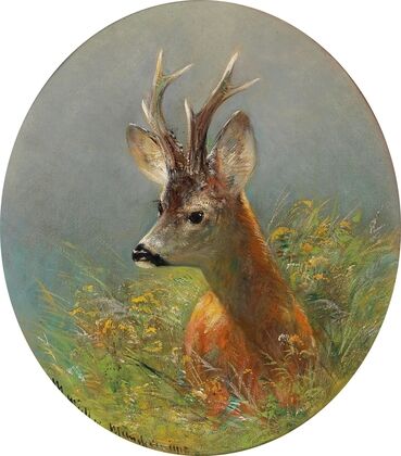 Roebuck Standing in the Tall Grass