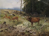 Röhrender Hirsch und Rehe am Waldrand