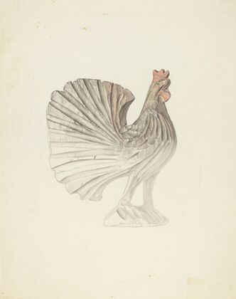 Rooster