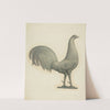 Rooster Weather Vane by Robert Pohle