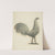 Rooster Weather Vane by Robert Pohle