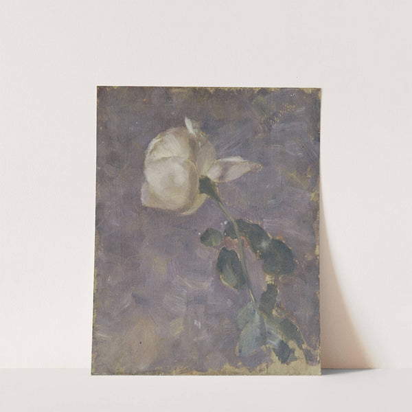 Rose by Walther Gamerith