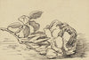 Rose (ca 1905)