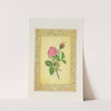 Rose (1869) by John Henry Ingram