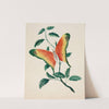 Rose Bush and Butterfly by Mary Altha Nims