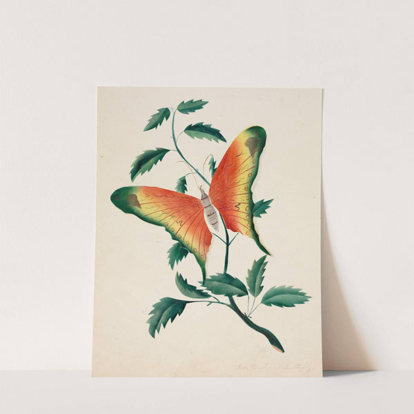 Rose Bush and Butterfly by Mary Altha Nims