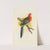 Rose-Hill or Rosella Parrakeet (1884-1887) by Alexander Francis Lydon