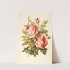Rose, Myrtle, Ivy by Robert Tyas