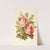 Rose, Myrtle, Ivy by Robert Tyas