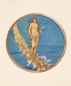 Rose of Heaven