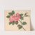 Rose on a stem with leaves and unopened blossoms (1820-1839) by William Wood Thackara
