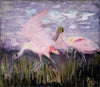 Roseate Spoonbills, study for book Concealing Coloration in the Animal Kingdom