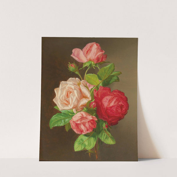 Roses by Andreas Lach