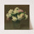 Roses (1895) by Henri Fantin-Latour