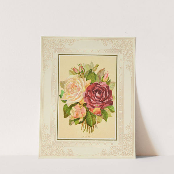 Roses by Marcus Ward &amp; Co