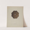 Rosette by Harvey Thoss