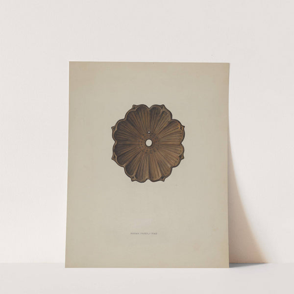 Rosette by Harvey Thoss