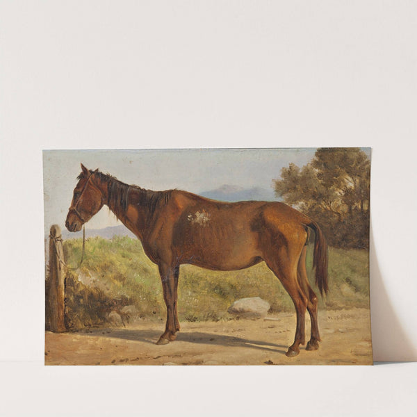 Rosinante (Study of an old standing horse) by Wilhelm Marstrand