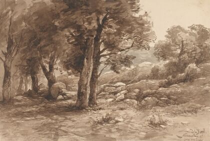 Rotsachtig landschap met bomen