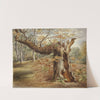 Rotting Tree by Elizabeth Murray