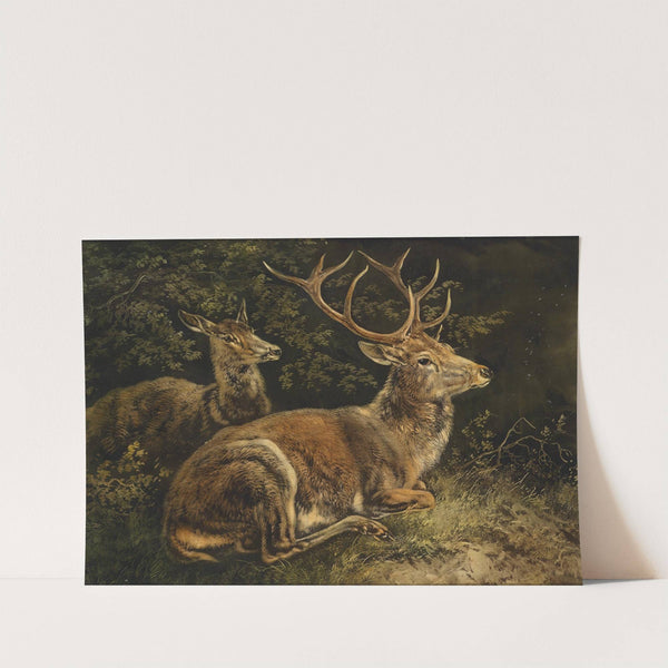 Rotwild by August Schleich