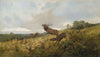 Rotwild in herbstlicher Landschaft