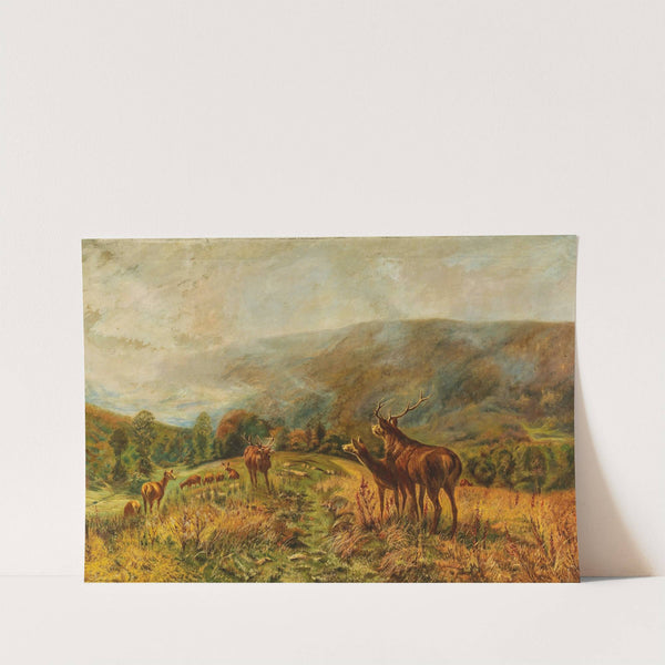 Rotwildrudel by Christian Kröner