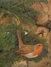 Rouge-Gorge (1880)