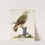 Rough-Legged Buzzard (1832) by Ferdinand von Wright