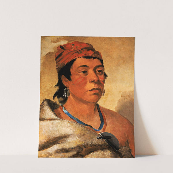 Round Island, a Warrior by George Catlin