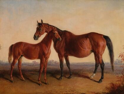 Roxanna and Her Colt Blarney Stone by Rhynodyne (1866)