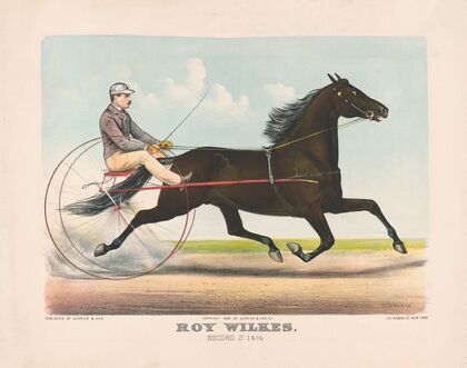 Roy Wilkes (1889)