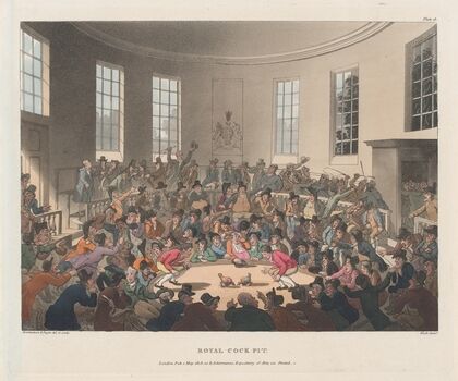 Royal Cockpit (1808)
