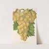 Royal Vineyard Grape by Charles Antoine Lemaire