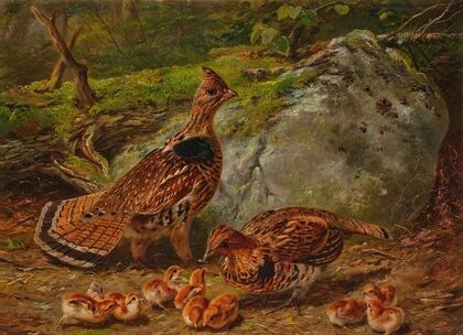 Ruffed Grouse (1863)