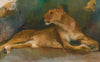 Ruhende Löwin