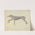 Running Dog Weather Vane by Gordon Sanborn