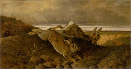 Running rabbits