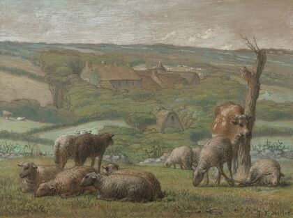 Rural landscape