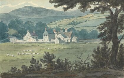 Rural Landscape Scene with Farm and Grazing Sheep