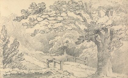 Rural Landscape with a Bridge